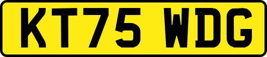 KT75WDG