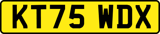 KT75WDX
