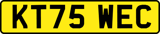 KT75WEC