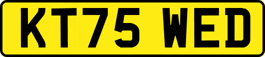 KT75WED
