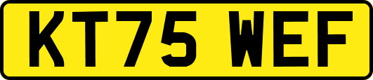 KT75WEF