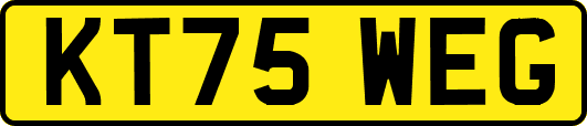 KT75WEG
