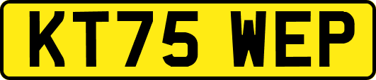 KT75WEP