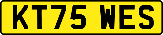 KT75WES