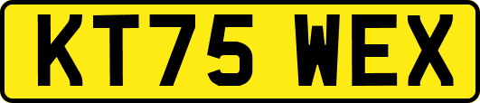 KT75WEX
