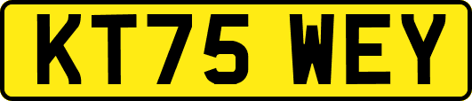 KT75WEY