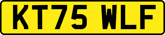 KT75WLF