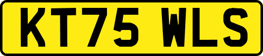 KT75WLS