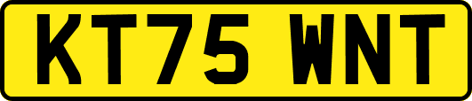 KT75WNT