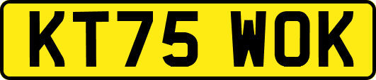 KT75WOK