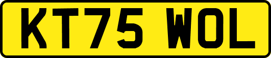 KT75WOL