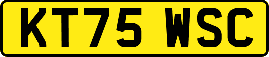 KT75WSC