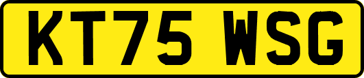 KT75WSG