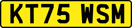 KT75WSM