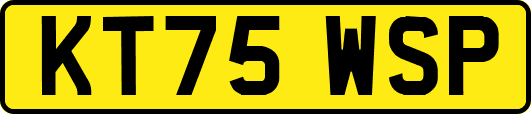 KT75WSP