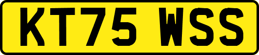 KT75WSS