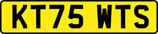 KT75WTS