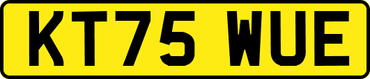 KT75WUE