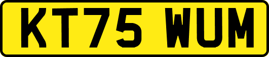 KT75WUM