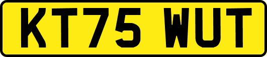 KT75WUT