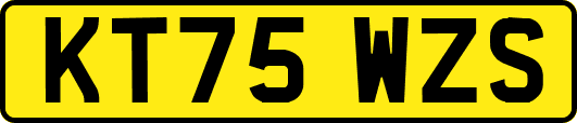KT75WZS