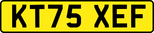 KT75XEF