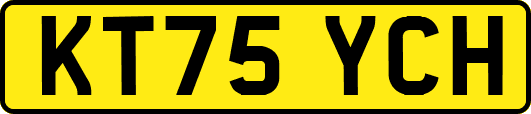 KT75YCH