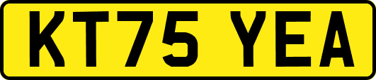 KT75YEA