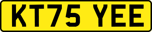 KT75YEE