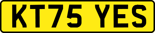 KT75YES