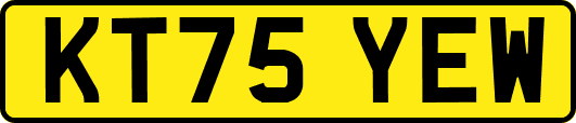 KT75YEW