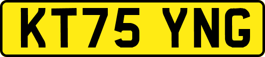 KT75YNG
