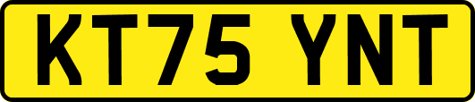 KT75YNT