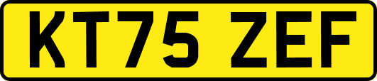 KT75ZEF