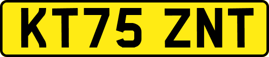 KT75ZNT