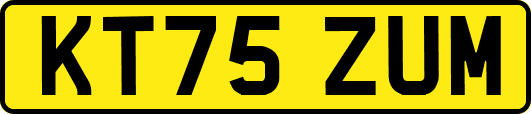 KT75ZUM