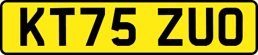 KT75ZUO