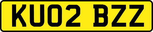 KU02BZZ