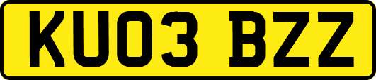 KU03BZZ