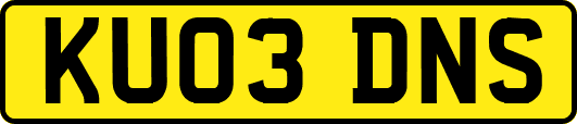 KU03DNS