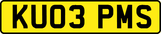 KU03PMS