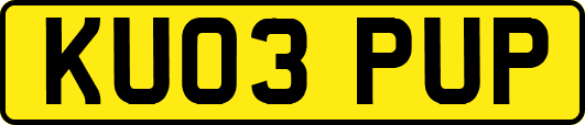 KU03PUP