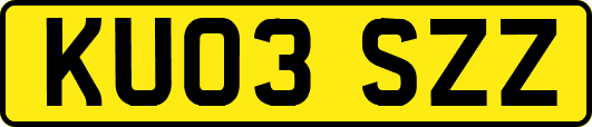 KU03SZZ
