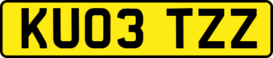 KU03TZZ