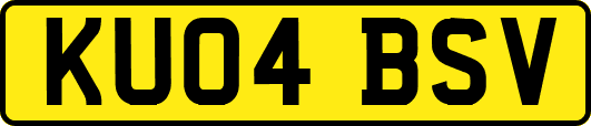 KU04BSV