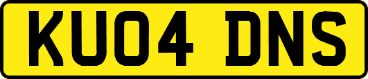 KU04DNS