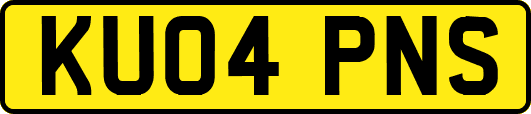 KU04PNS