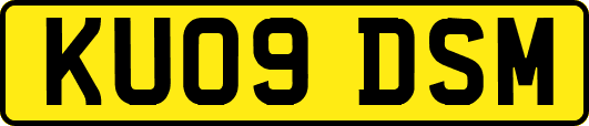 KU09DSM