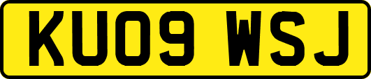 KU09WSJ