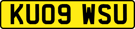 KU09WSU